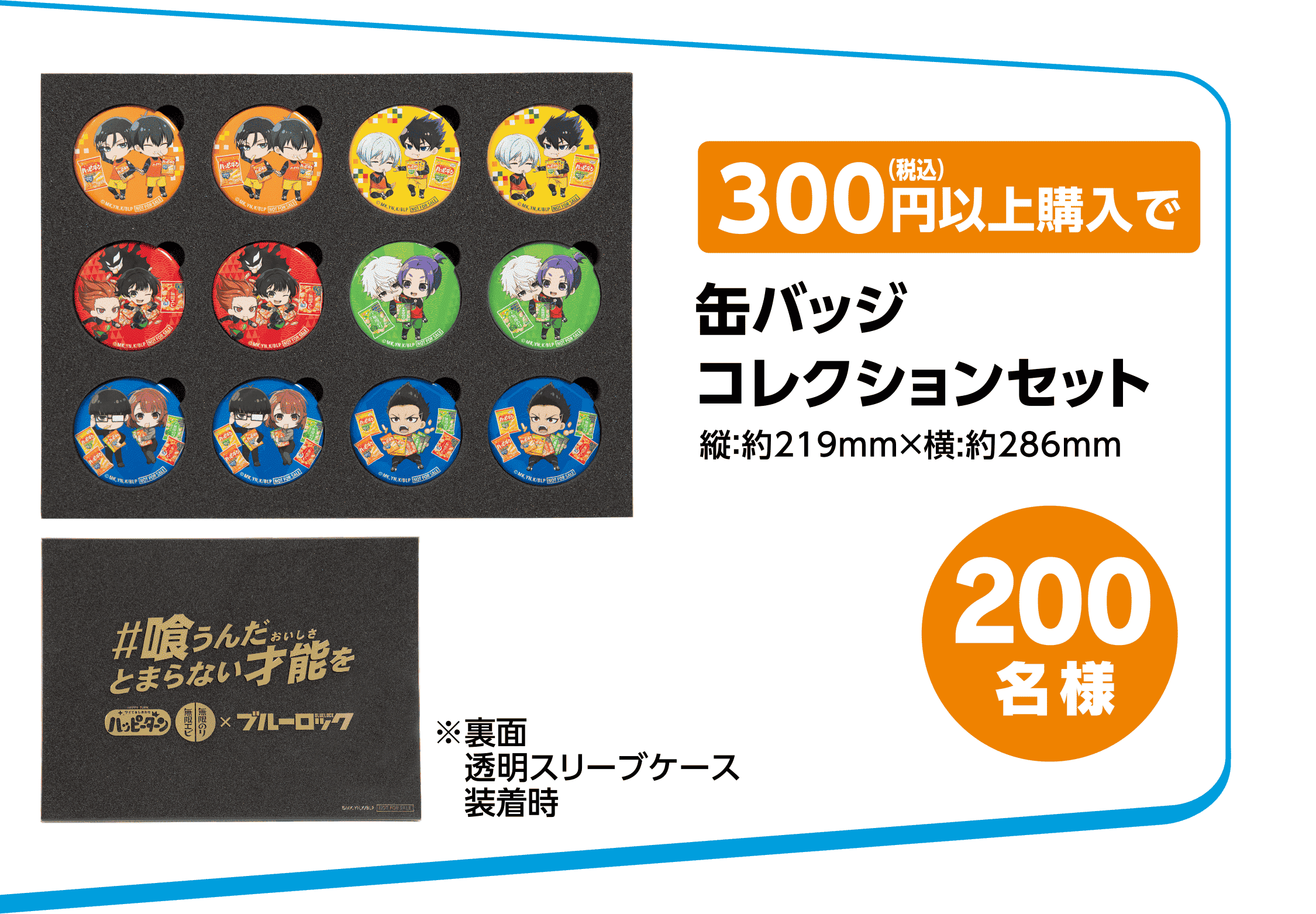 300円（税込）以上購入で缶バッジコレクションセット 縦：約219mm×横:約286mm ※裏面透明スリーブケース装着時（200名様）