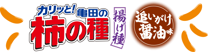 亀田の柿の種 揚げ種 追いがけ醤油味